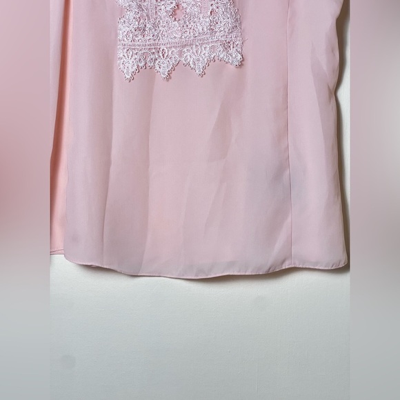 Zac & Rachel Women Top M Pink Blush Lace Embroidery Panel Front Sleeveless Sheer - Picture 14 of 15